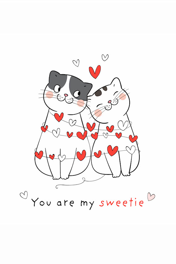 You Are My Sweetie Cat ecard