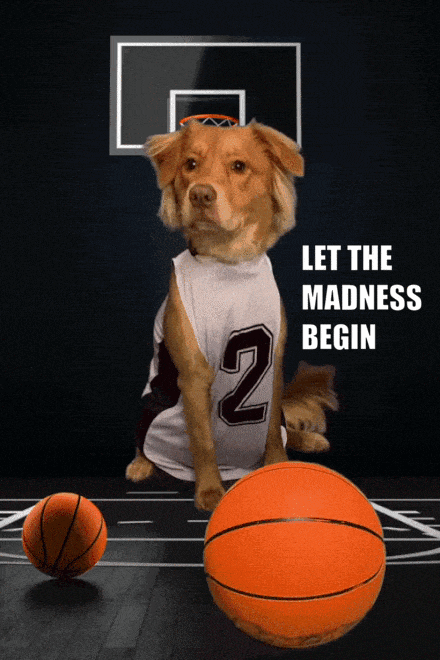 Maisy Madness Begin ecard