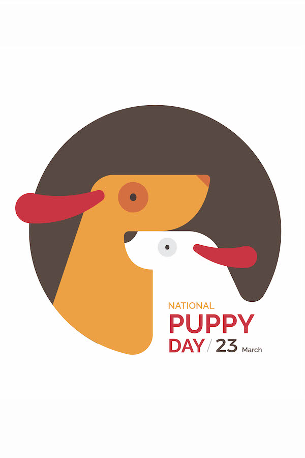 2 Dogs In Circle ecard