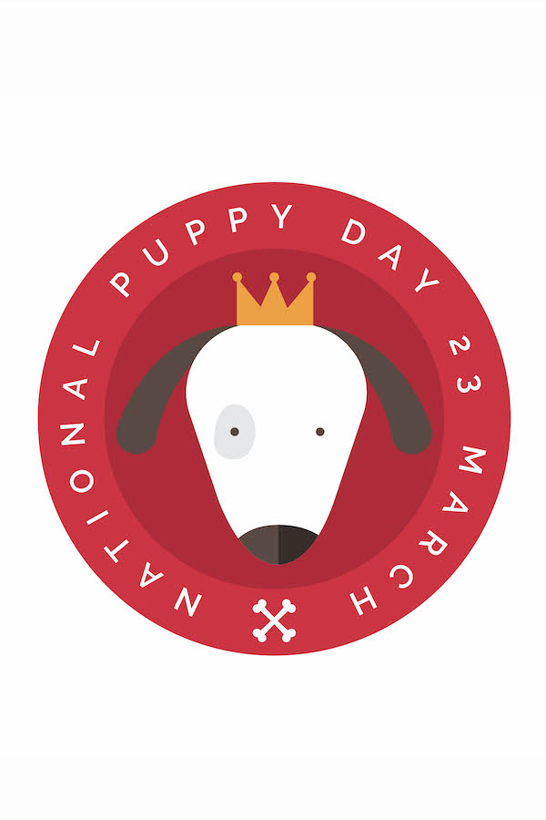 Puppy Dog With Crown ecard