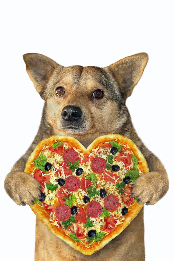 Dog With Pizza Heart ecard