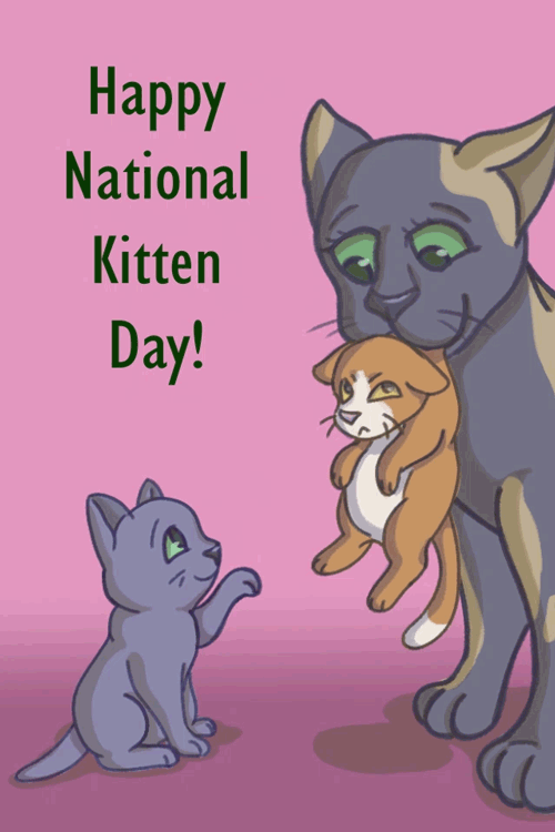 Cat and Kitten ecard