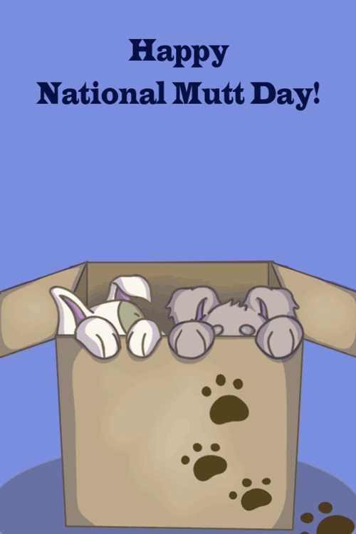 Mutts in Box Popping Up ecard
