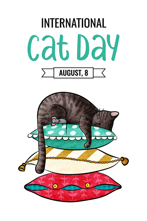 Cat Day Cat Nap  ecard