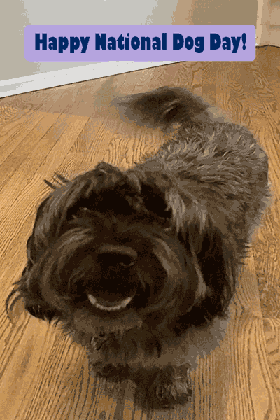 National Dog Day Wagging ecard