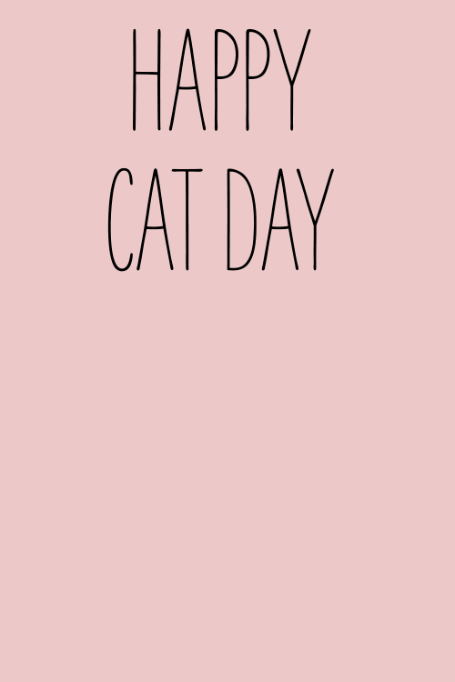 Cat Plop Card ecard