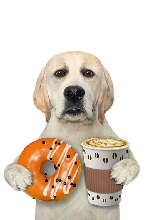 Donut Dog ecard
