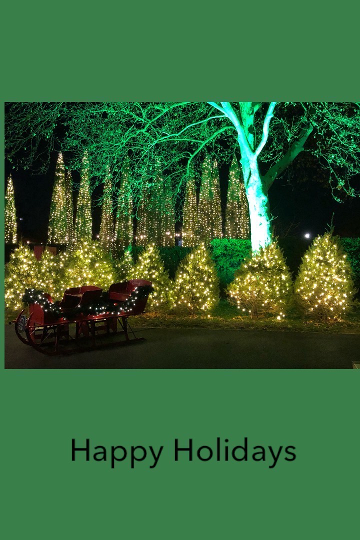 Homemade Holidays: Happy Holidays ecard