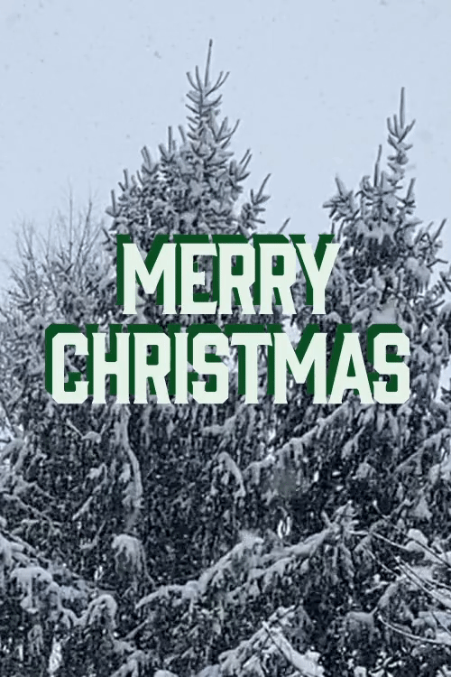 Homemade Holidays: Snowy Christmas Tree ecard