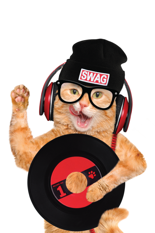 DJ Kitten ecard