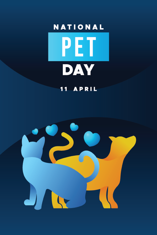 Pet Day Blue Cat ecard