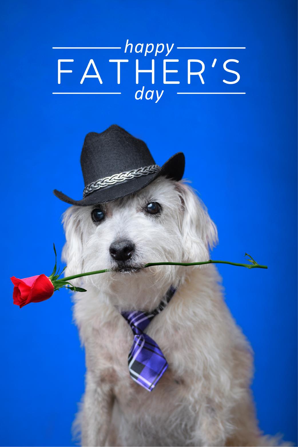 Happy Fathers Day Dog ecard