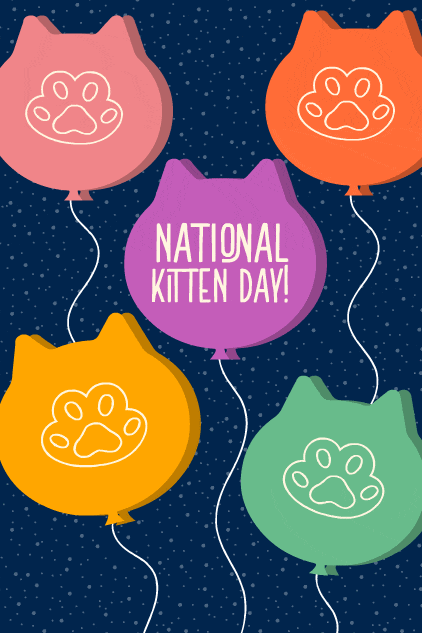 Kitten Day Balloons ecard