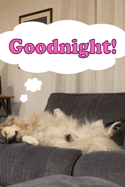 Goodnight Dog ecard
