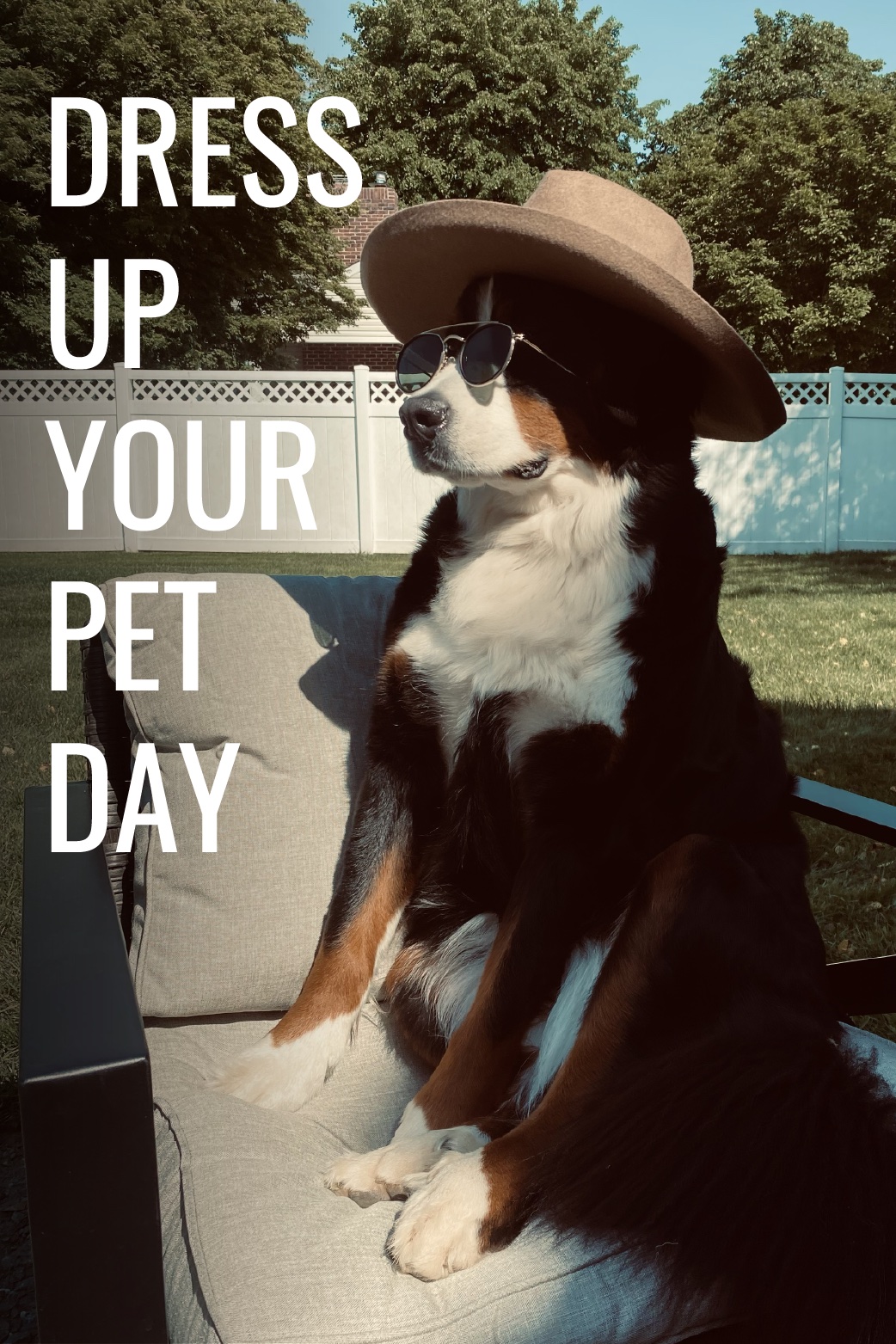 Dress Up Your Pet Luie ecard