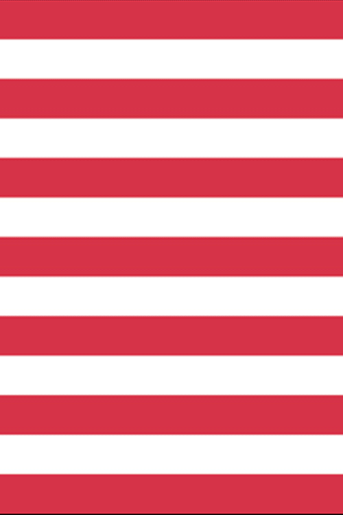 Happy Birthday America Flag ecard