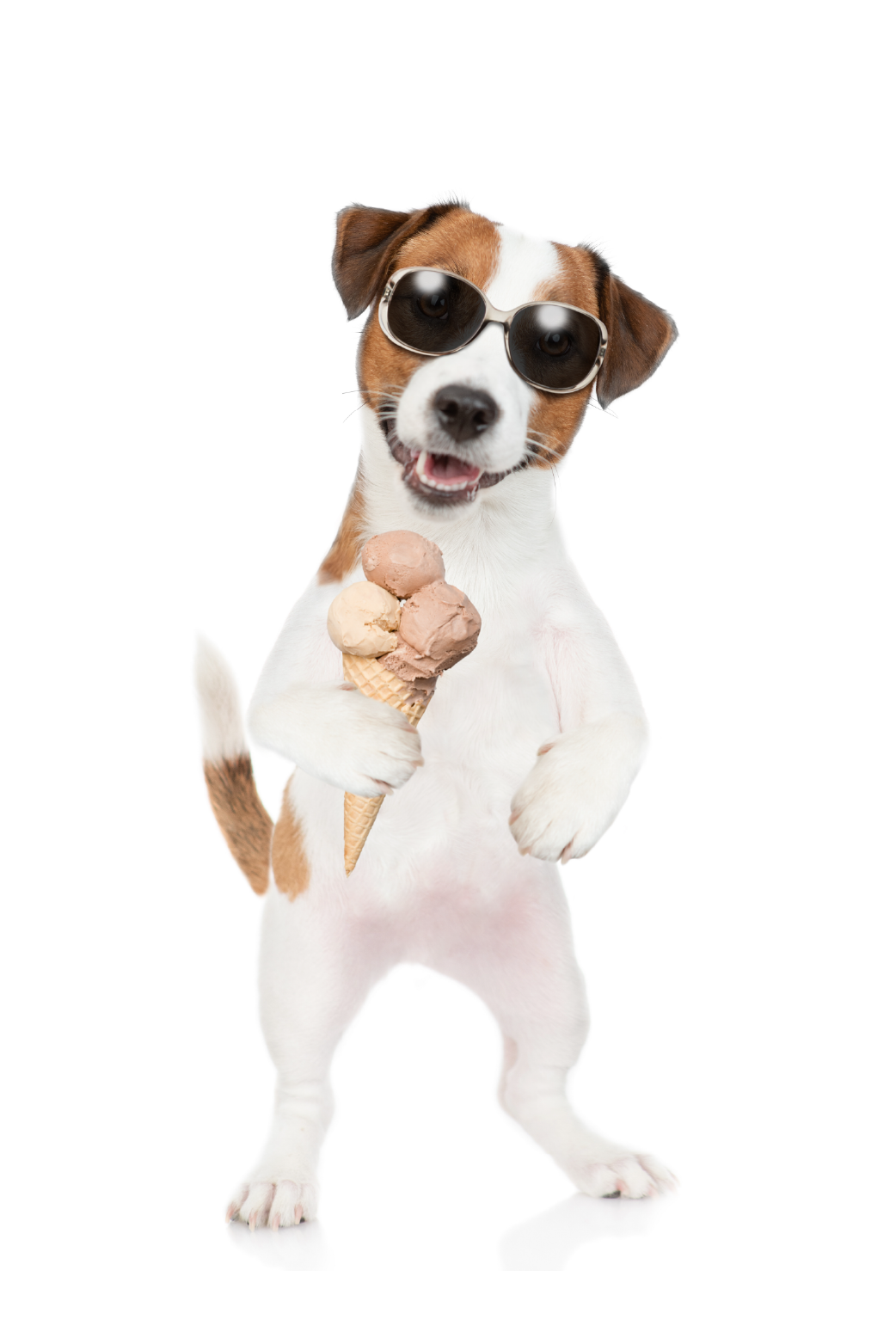 Dog With Ice Cream ecard