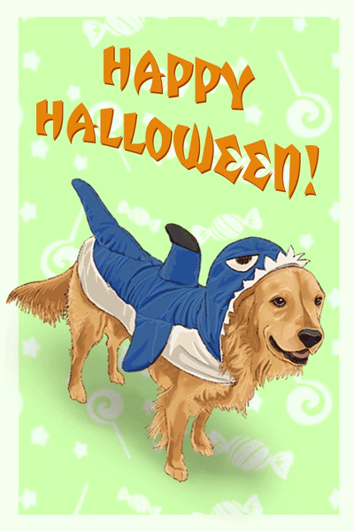 Shark Contest Winner ecard