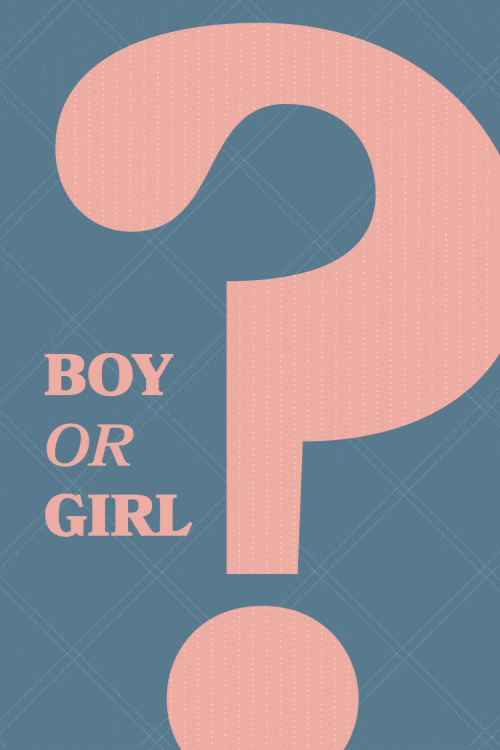 Boy Or Girl Question Mark ecard