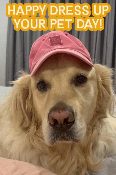 Pet Day Wink ecard